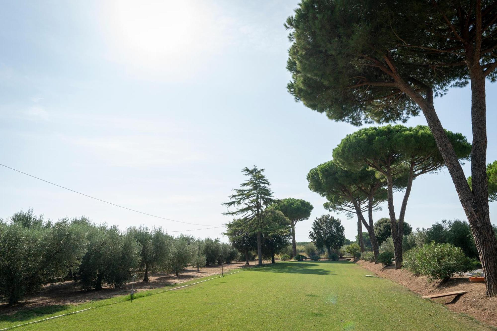 Agriturismo Nonno Gino - Charme&Relax بيومبينوا المظهر الخارجي الصورة