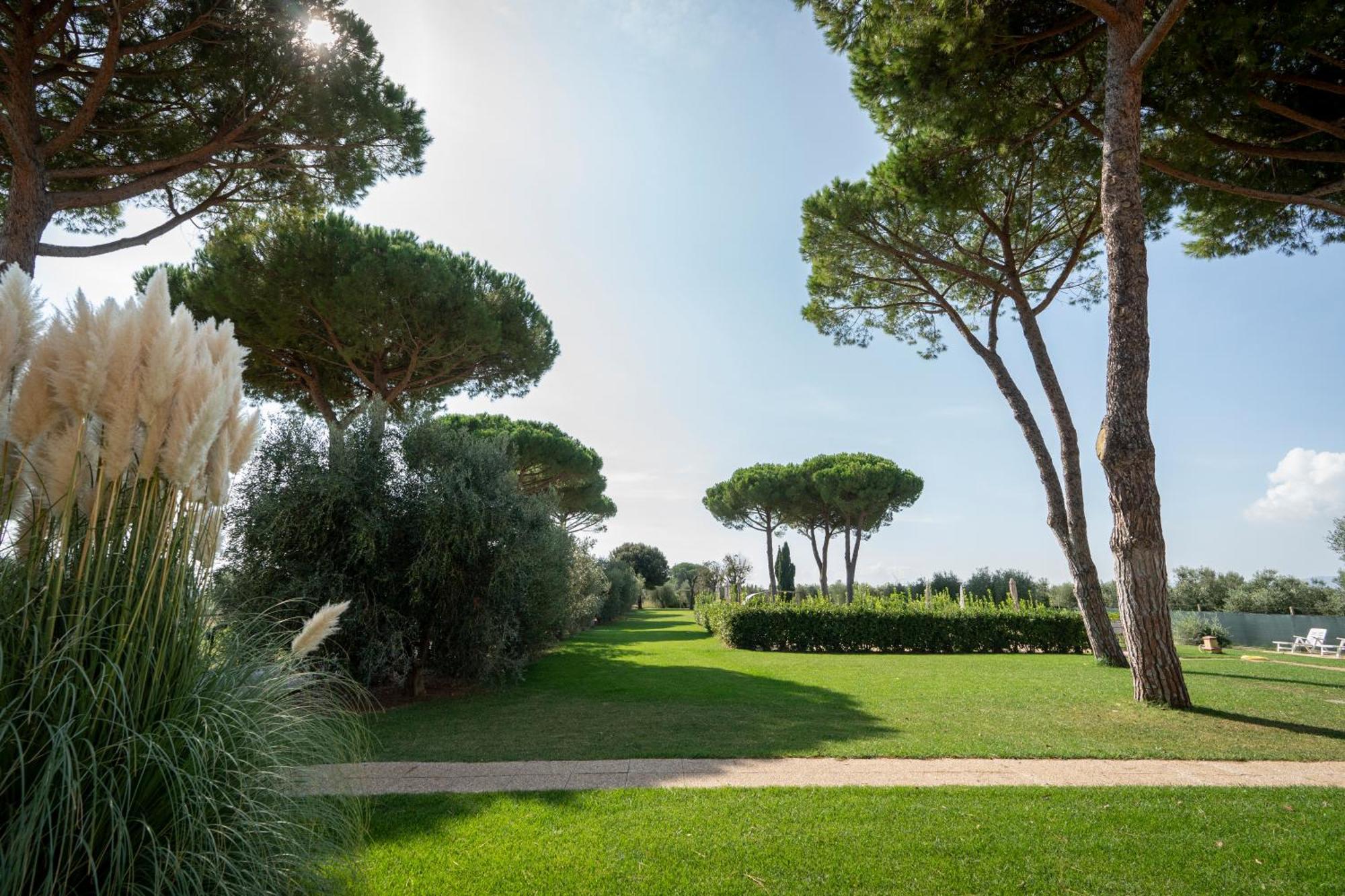 Agriturismo Nonno Gino - Charme&Relax بيومبينوا المظهر الخارجي الصورة