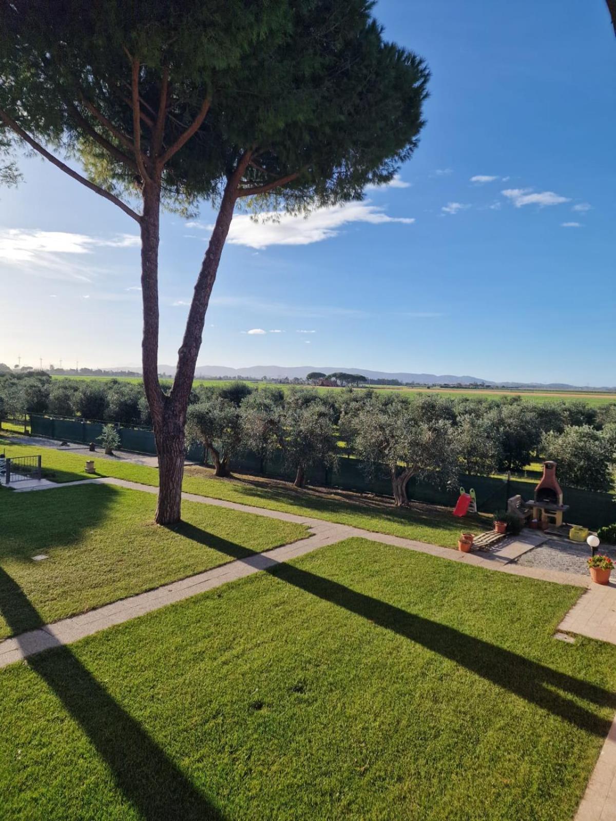Agriturismo Nonno Gino - Charme&Relax بيومبينوا المظهر الخارجي الصورة